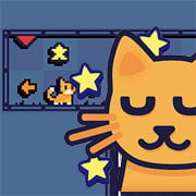 Cat Connection Cover